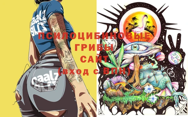 стафф Инсар